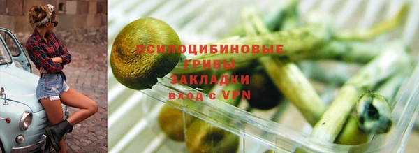 трава Абдулино