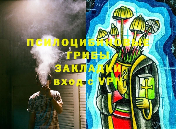 сатива Алзамай