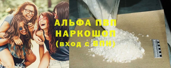 сатива Алзамай
