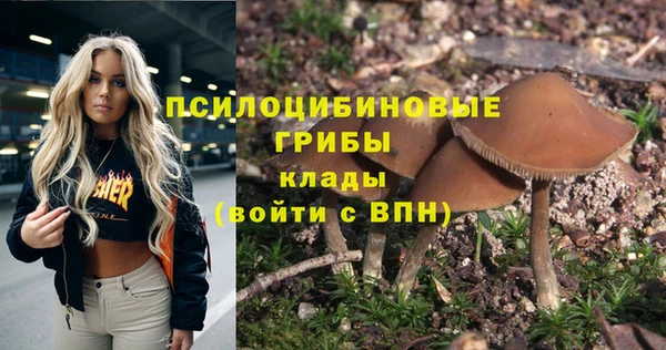 экстази Абаза